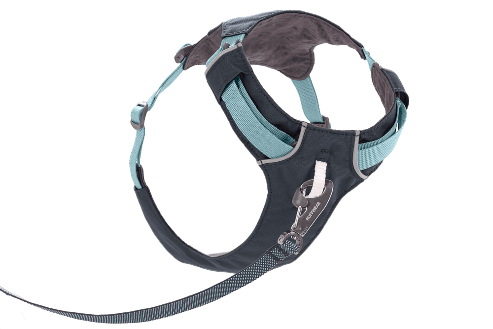 Modernes dunkelblaues Hundegeschirr mit turquoise Akzenten, verstellbaren Riemen und Karabinerhaken.
