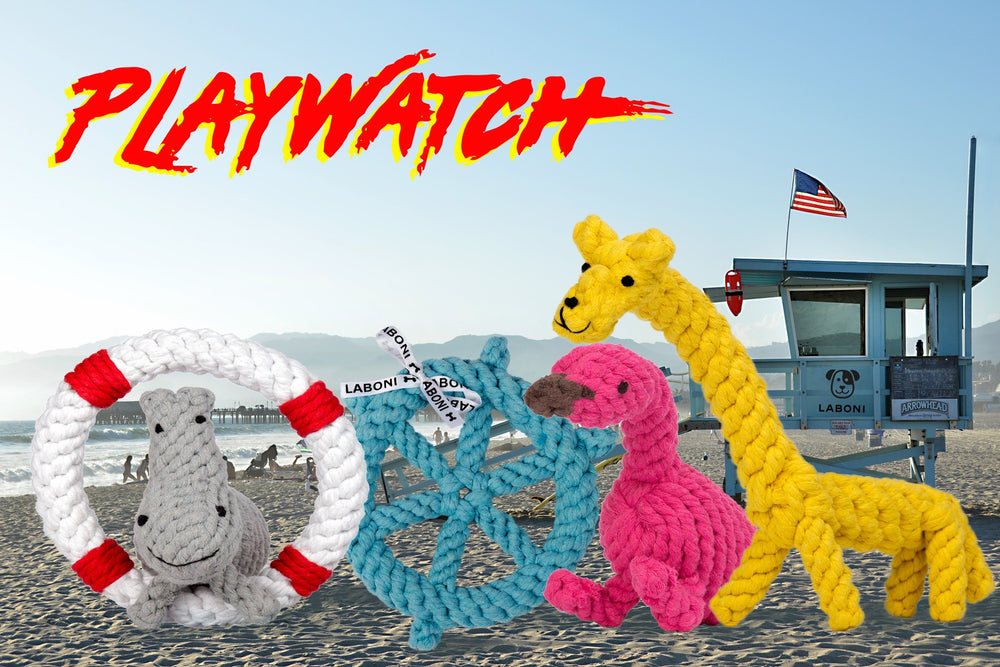 Bunte, seilgefertigte Hundespielzeuge: Flamingo, Krokodil und Giraffe in sommerlicher Strandkulisse.