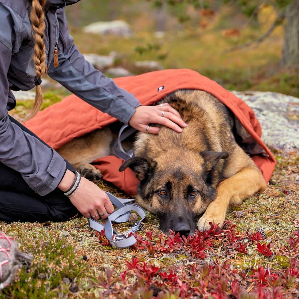 Hunde-Schlafsack Sleepover – zusätzliche Produktansicht 1
