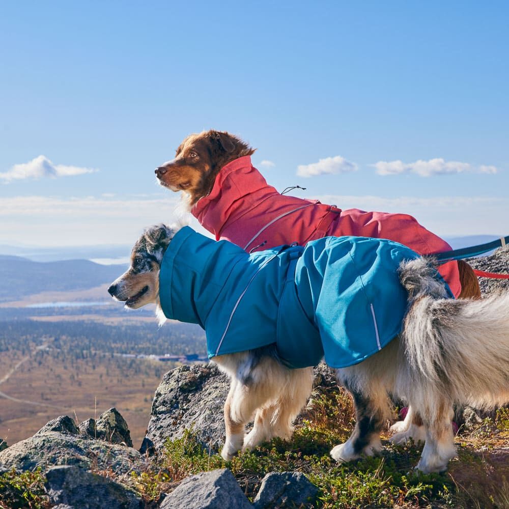 Hundejacke Expedition Parka II – zusätzliche Produktansicht 3