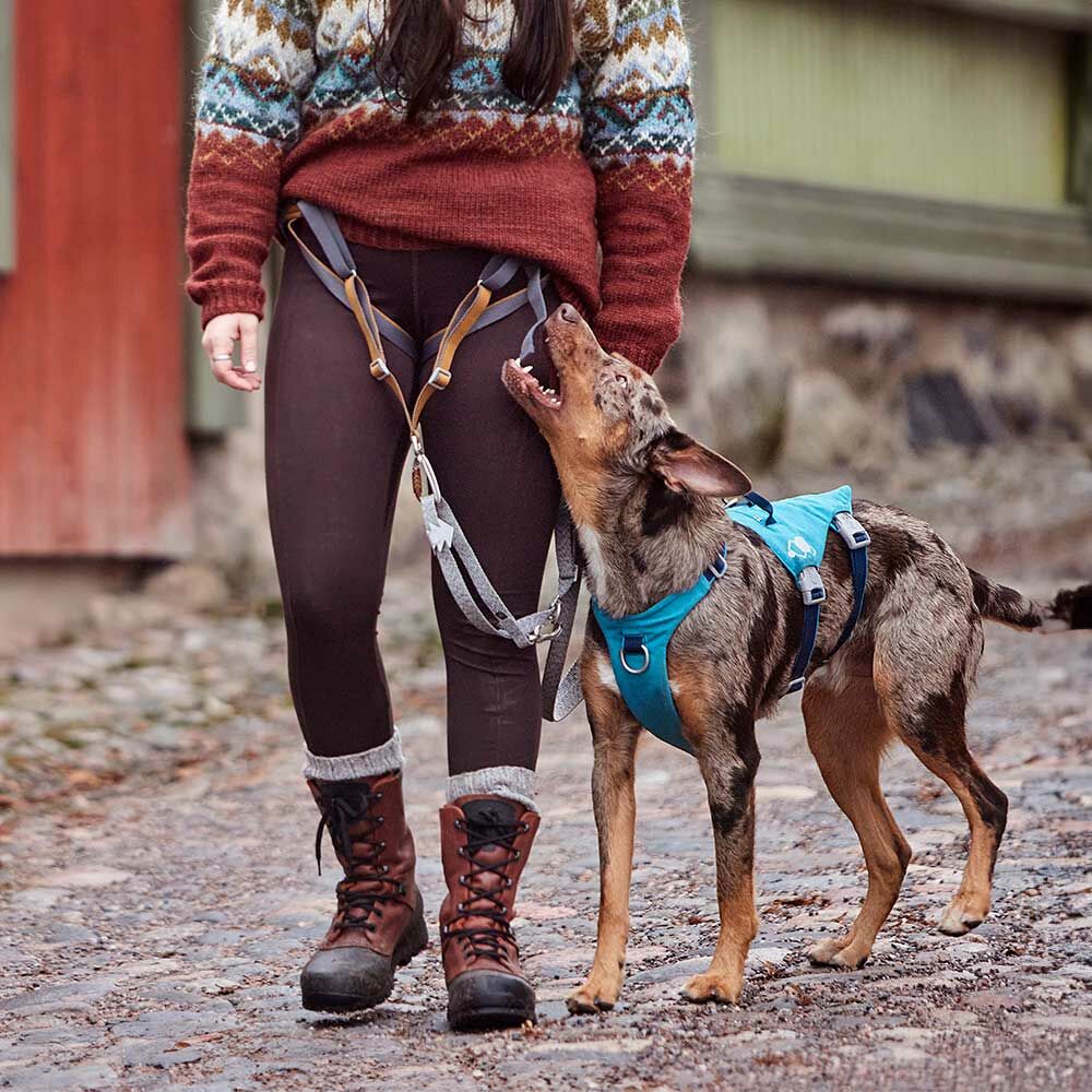 Hundegeschirr Safeguard Harness ECO – zusätzliche Produktansicht 11
