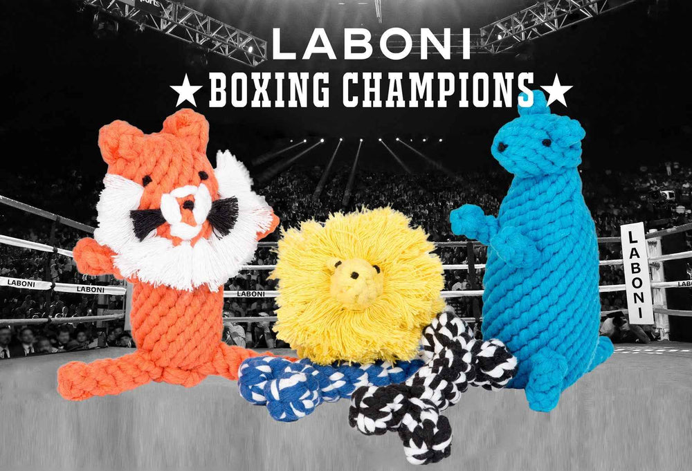 "Timothy Tiger farbige Tier-Spielzeuge für Hunde aus geflochtenem Material: Fuchs, Löwe und mehr."