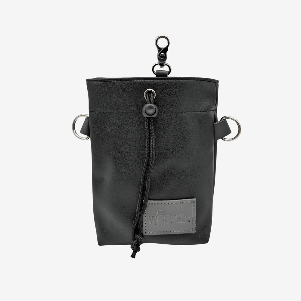 Leckerlibeutel aus veganem Kunstleder in Schwarz mit Kordelzug und Karabiner für Hundeleckerlis und Snacks.