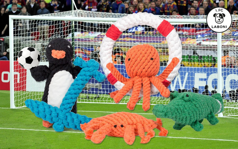 "Plüschspielzeuge für Hunde: Kalli Krokodil, bunte Krakenfigur und Krebs auf einem Fußballfeld."