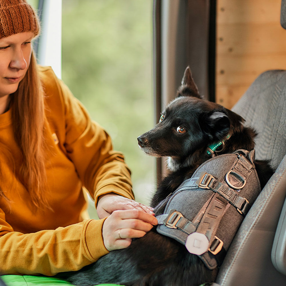 Autogeschirr Travel Harness ECO – zusätzliche Produktansicht 6