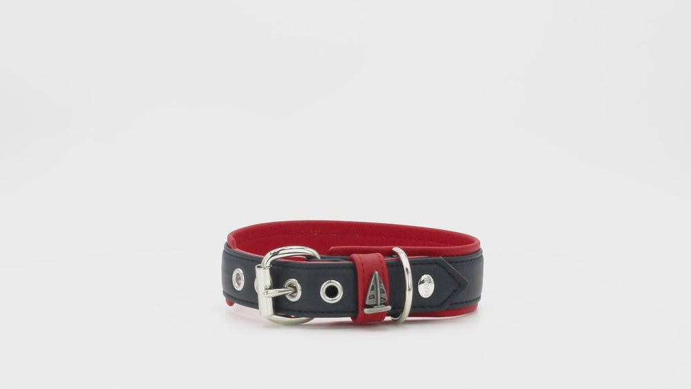 Hundehalsband aus Leder in Schwarz und Rot mit polierter Metallschnalle und verstellbaren Löchern für optimale Passform.
