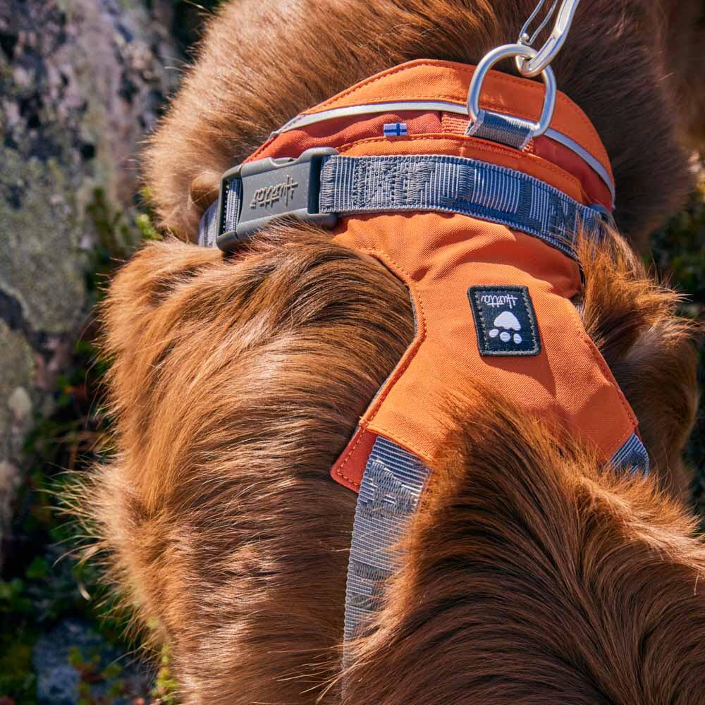 Hundegeschirr Rover Harness – zusätzliche Produktansicht 4