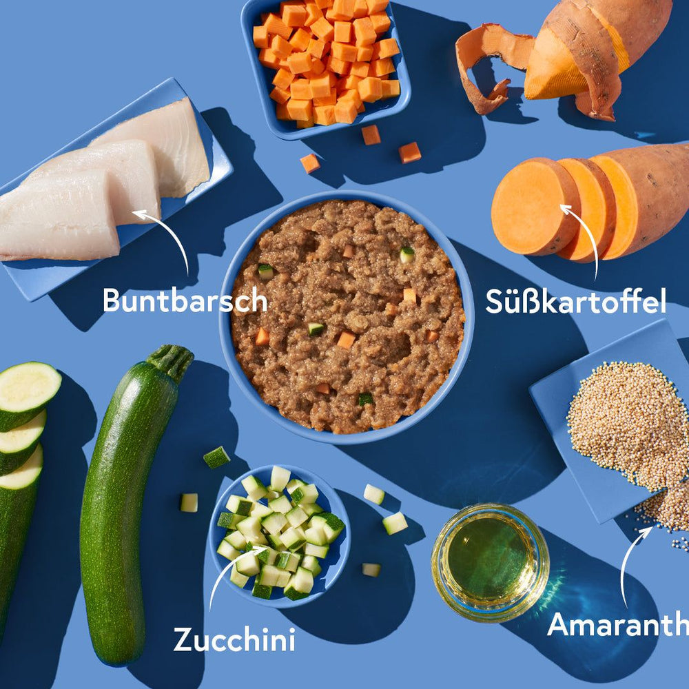 Buntbarschgericht mit Amaranth und frischem Gemüse auf blauem Hintergrund präsentiert.
