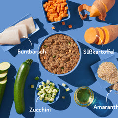 Buntbarschgericht mit Amaranth und frischem Gemüse auf blauem Hintergrund präsentiert.