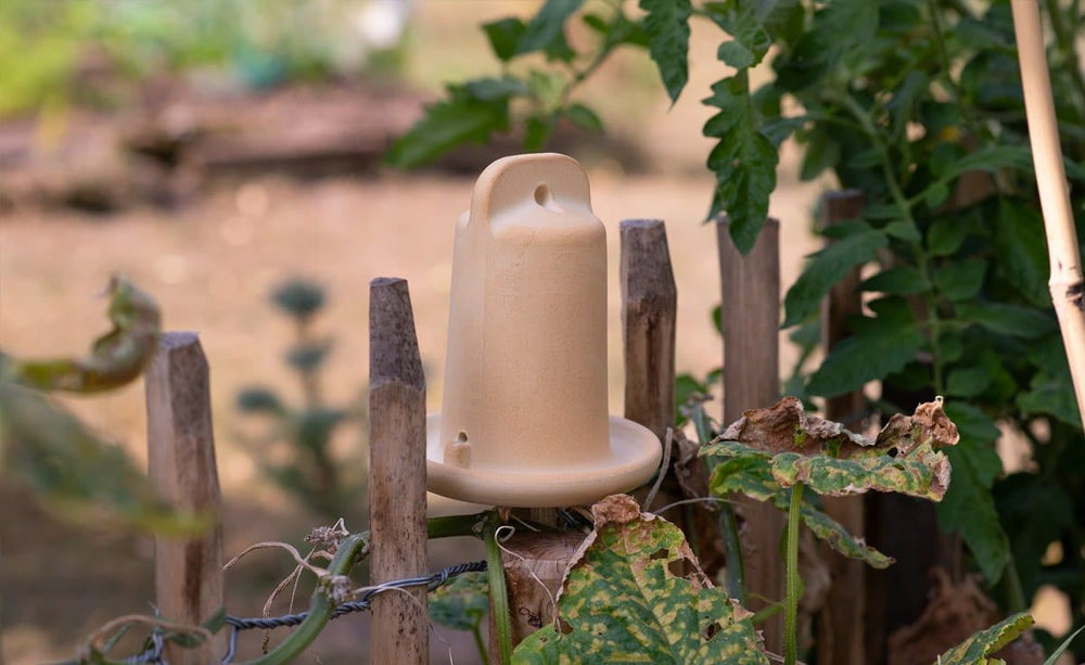 Sandfarbenes Insektentränke-Set aus Pflanzgefäß und Florfliegenhaus auf Holzpfosten in grünem Garten.