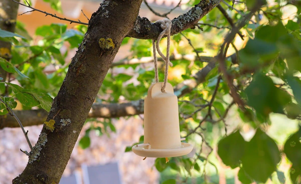 Vogelfutterstation in Glockenform hängt an Baum, umgeben von grünen Blättern, ideal für Vögel und Insekten.