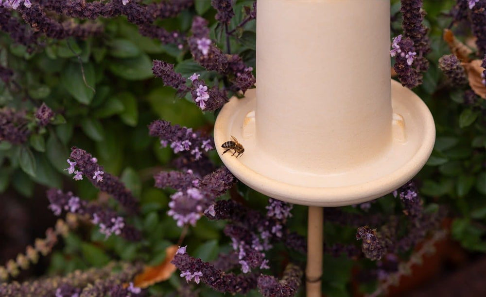 Beige Futterstation für Vögel und Insekten mit Biene, umgeben von lila Blumen im Hintergrund.