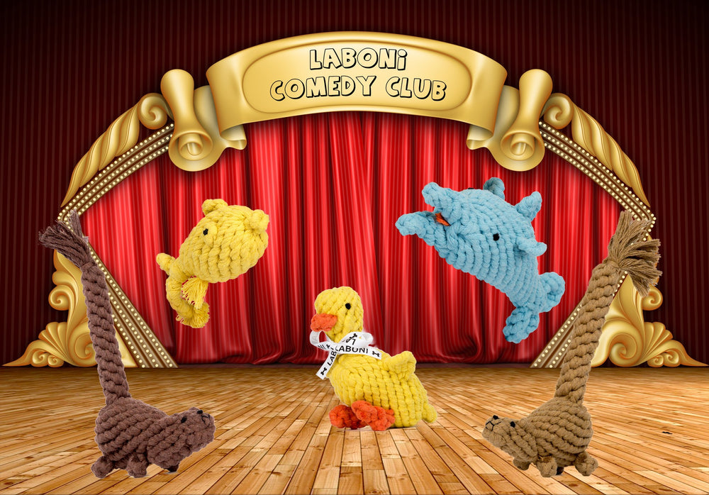 Bunte Bühne mit Emma Ente und anderen geflochtenen Tierfiguren im Laboni Comedy Club für Hundefreunde.