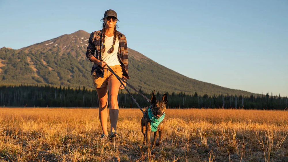 Frau mit Hund an Switchbak™ verstellbarer Leine in goldener Wiese vor Berglandschaft und klarem Himmel.