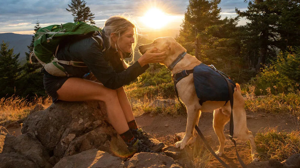 Frau mit Hund auf Felsen im Sonnenuntergang, beide mit Rucksäcken, genießen gemeinsame Zeit mit Switchbak™ Hundeleine.