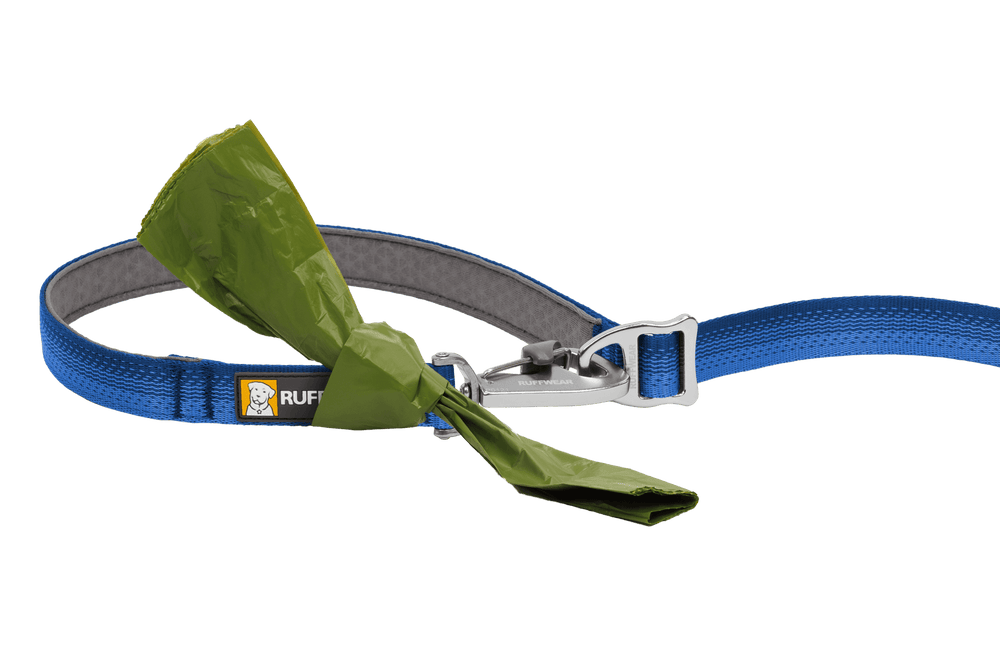 Verstellbare blaue Hundeleine mit silbernem Karabiner und grünem Kotbeutel für Hundehalter.