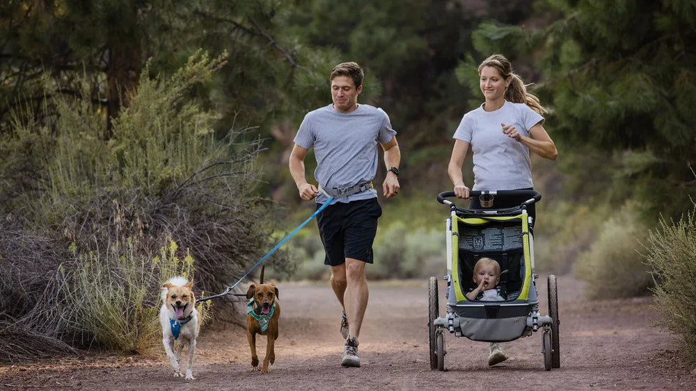 Paar joggt im Wald mit zwei Hunden an einer Double Track™ Koppel, ein Kind im Kinderwagen hinter ihnen.