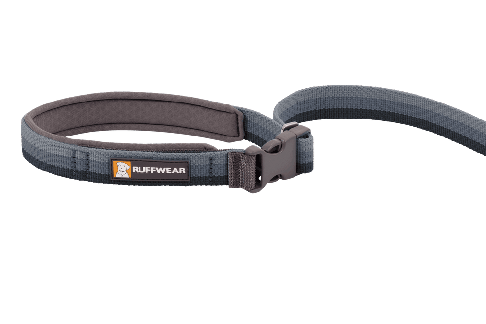 Roamer™ Bungee Joggingleine von Ruffwear mit gepolstertem Halsband für komfortables Joggen mit Ihrem Hund.