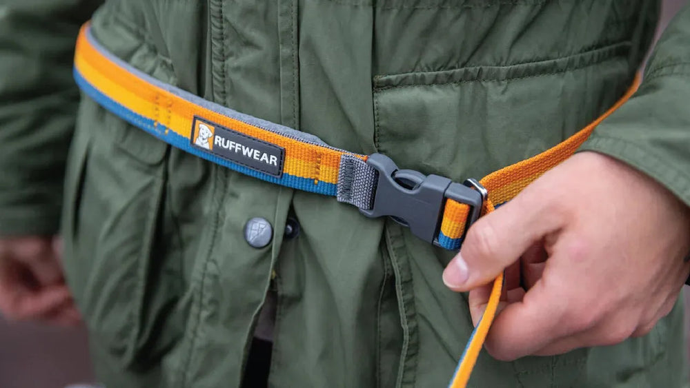 Roamer™ Bungee-Hundeleine in Grau, Blau und Orange, ideal für Outdoor-Aktivitäten, in der Hand gehalten.