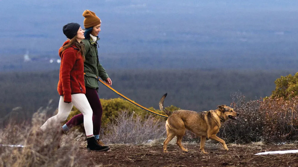 Zwei Frauen mit warmen Kleidern spazieren mit Hunden an einer Roamer™ Bungee-Hundeleine in einer hügeligen Naturlandschaft.