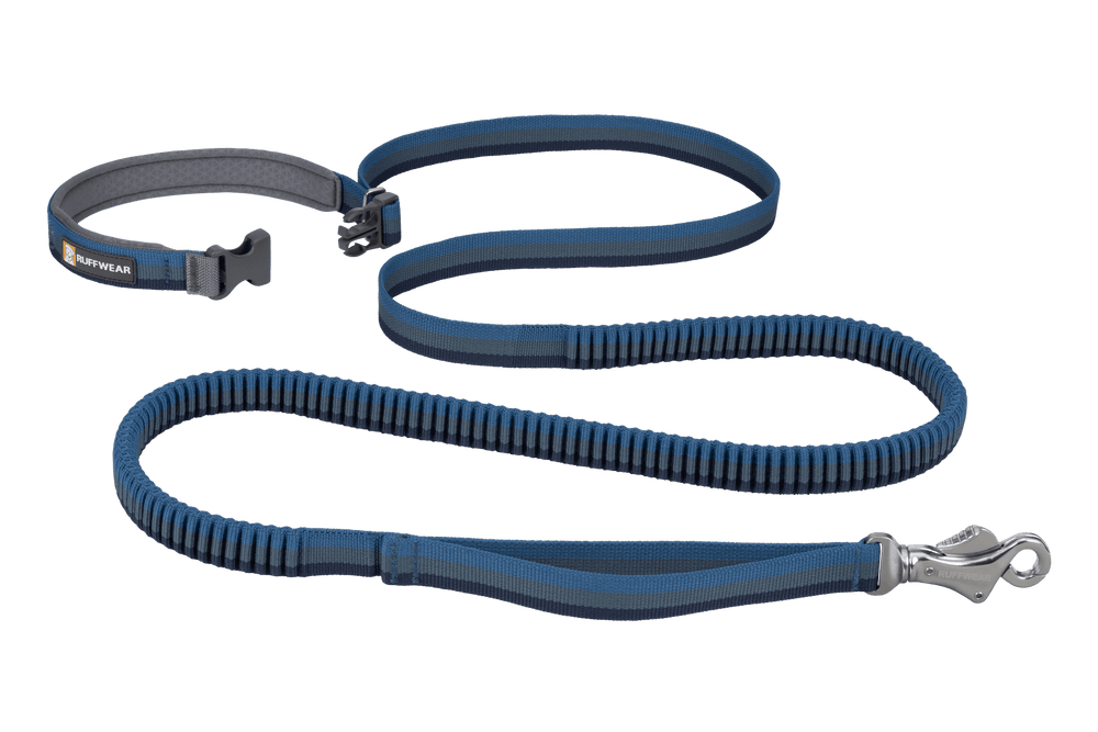Blaues Roamer™ Bungee-Hundehalsband und Leine aus elastischem Material mit Karabinerhaken. Perfekt für aktive Hunde.