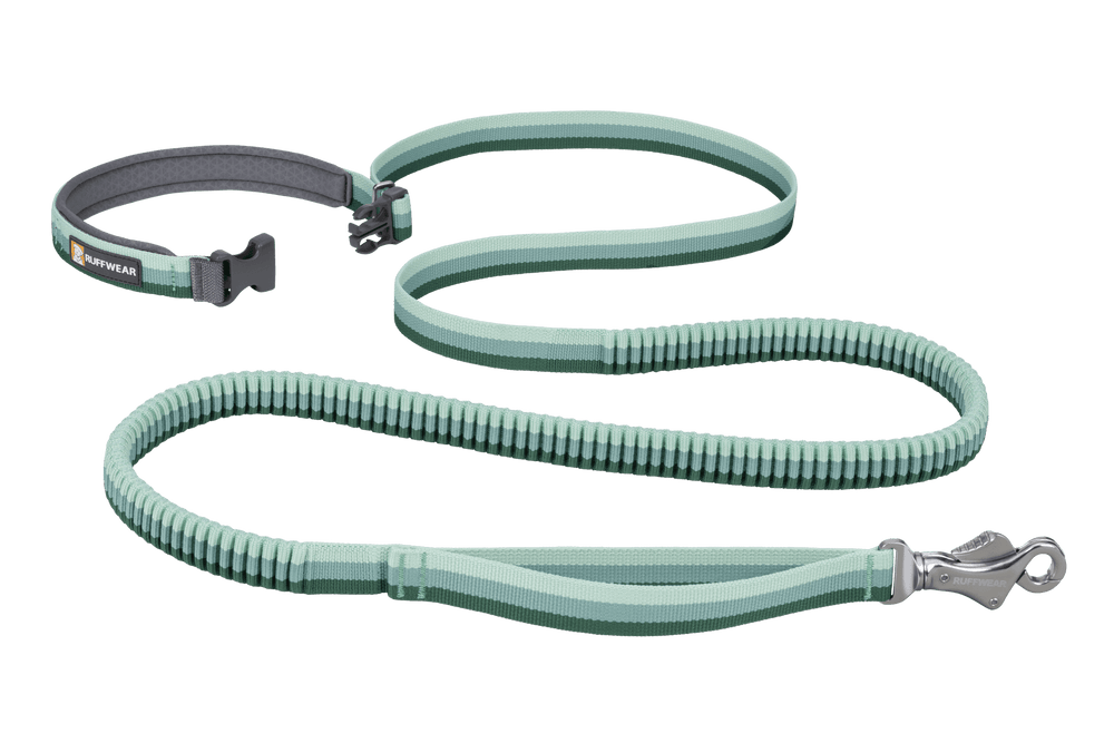 Mintgrünes Roamer™ Bungee-Hundezubehör: leich gepolstertes Halsband und elastische Hundeleine für optimalen Komfort.