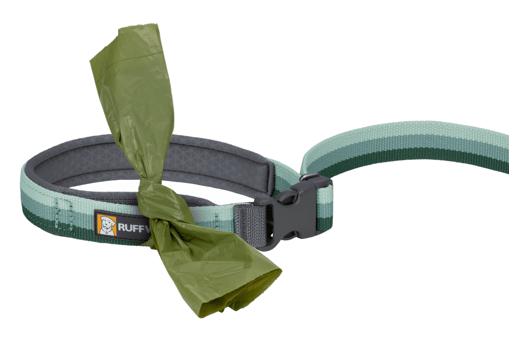 Grüne und blaue Roamer™ Bungee-Hundeleine mit Beutelhalter und Hundekotbeutel für komfortable Spaziergänge.