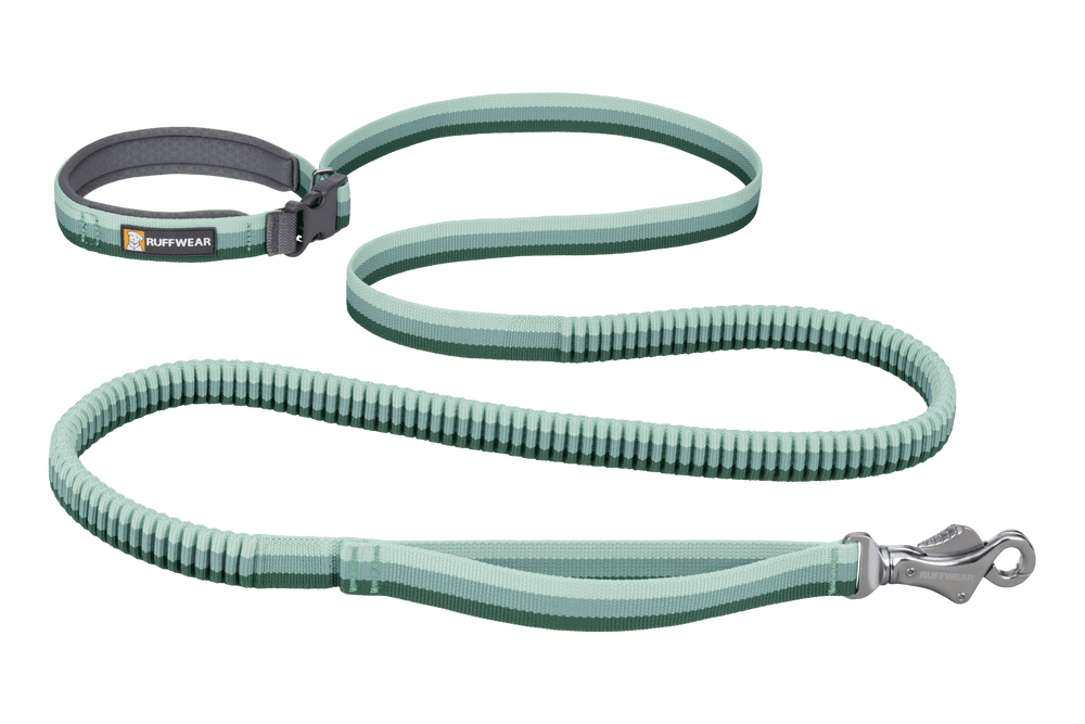 „Mintgrüne Roamer™ Bungee-Hundeleine von Ruffwear mit elastischem Design, stabilen Karabinerhaken und gepolstertem Griff.“