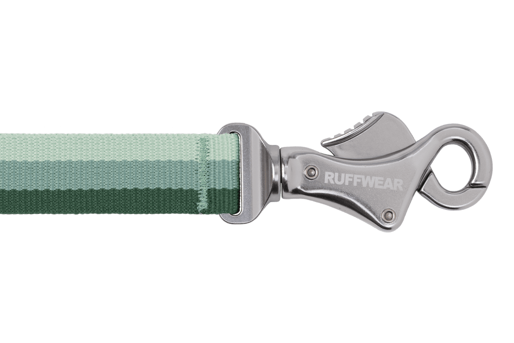 Gestreifte Roamer™ Bungee-Hundeleine von Ruffwear in Grüntönen mit stabilem Karabinerhaken für sicheres Gassigehen.