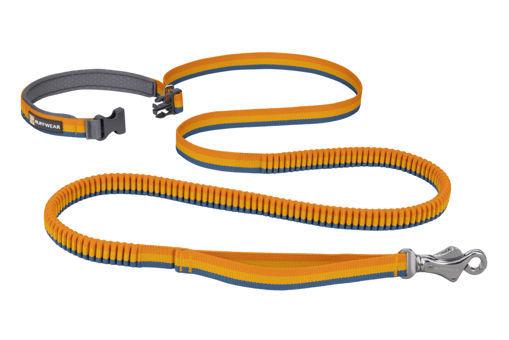 "Elastische Roamer™ Bungee-Hundeleine in Orange und Blau mit stabilen Karabinerhaken und passendem Halsband für Komfort."