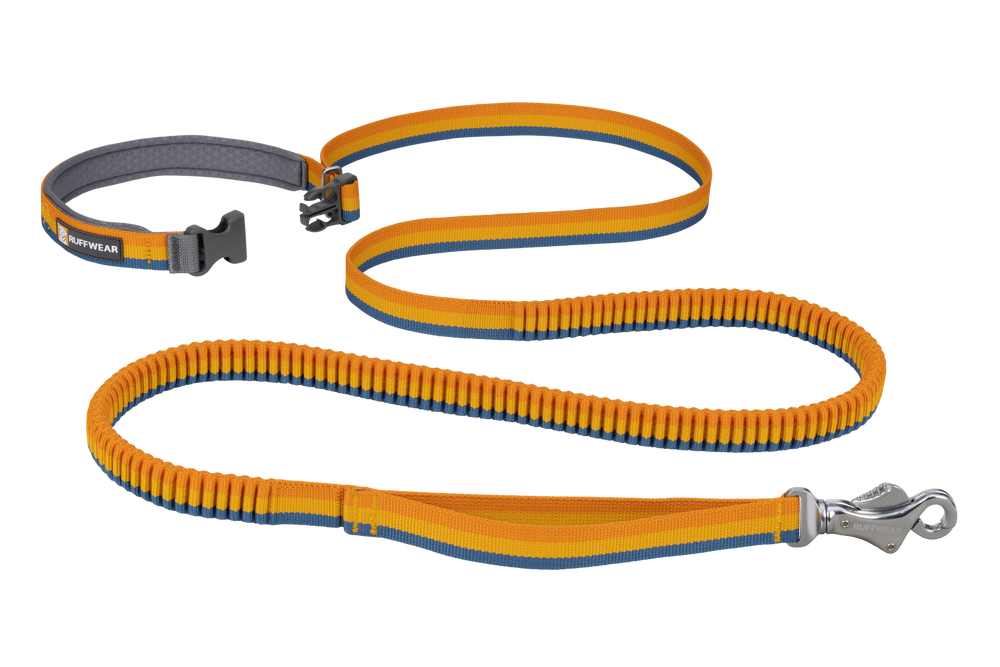 "Elastische Roamer™ Bungee-Hundeleine in Orange und Blau mit stabilen Karabinerhaken und passendem Halsband für Komfort."