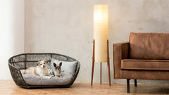 Modernes Hundebett CHIC im Wohnraum mit zwei relaxenden Hunden, eleganter Lampe und stilvollem Holzfußboden.