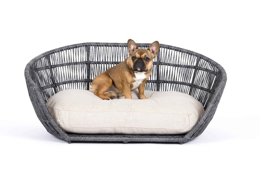 Elegantes PRADO Design-Hundebett SMOOTH: Französische Bulldogge auf grauem Korbsessel mit beigem Kissen.