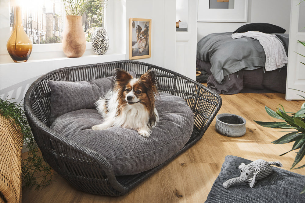 Gemütliches Rattan-Hundebett TUDOR in modernem Wohnraum mit Holzfußboden und stilvollen Deko-Elementen.