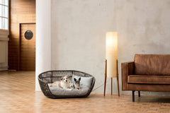 Design-Hundebett SMOOTH im eleganten Raum mit Holzboden, zwei Hunde im geflochtenen Bett, neben moderner Stehlampe und Ledersofa.