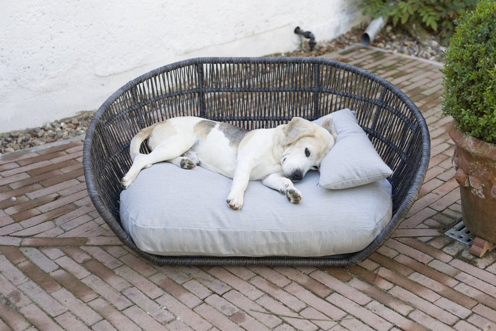 Entspannter Hund auf einem grauen geflochtenen Hundebett im Außenbereich, umgeben von einer hübschen Pflasterung.