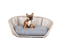 Brauner Hund auf grauem Kissen im Korbgeflechtstuhl, VOGUE Design-Hundebett SMOOTH, stilvoller Sitzplatz für Hunde