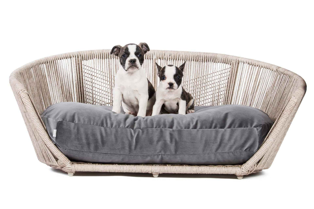 Elegantes VOGUE Design-Hundebett OXFORD mit grauem Kissen, ideal für kleine Hunde, die neugierig in die Kamera schauen.