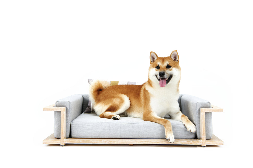 Hund entspannt auf grauem Ascot Mahogany White Hundesofa mit Holzelementen, rot-weißes Fell, freundlicher Blick in die Kamera.