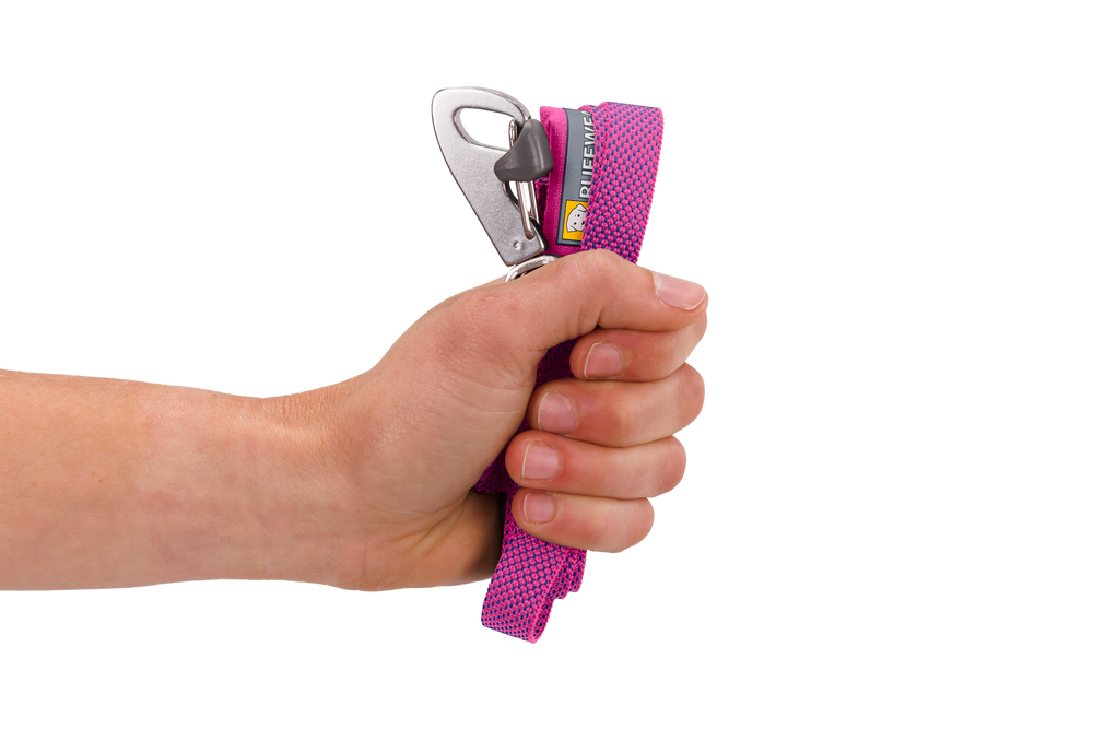 Hand, die eine pinke Hi Light™ Hundeleine mit Karabinerhaken hält, detailreiche texturierte Oberfläche.