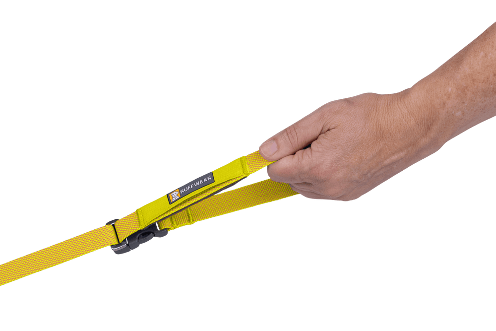 Hand hält gelbe Flagline™ Hundeleine aus strapazierfähigem Material mit Schnallenverschluss vor sanften Farbverläufen.