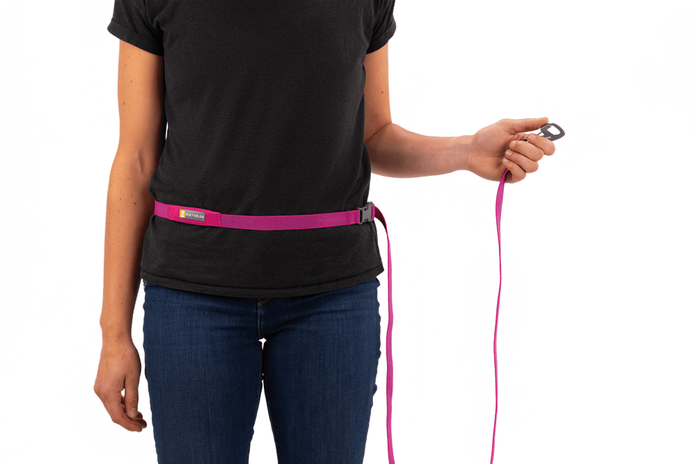 Person mit pinkem Gürtel und Hundeleine, trägt schwarzes T-Shirt und Jeans, hält Leinenende in der Hand.