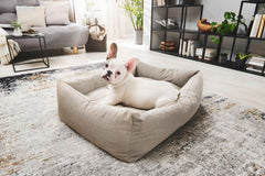 Kleiner weißer Hund entspannt im ORTHO Hundebett SMOOTH in modernem Wohnzimmer. Gemütliches Design für Ihr Haustier.