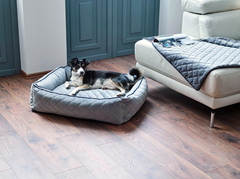 Entspannter Hund in grauem CLASSIC Hundebett Oxford Grey neben Sofa und Decke auf Holzfußboden.