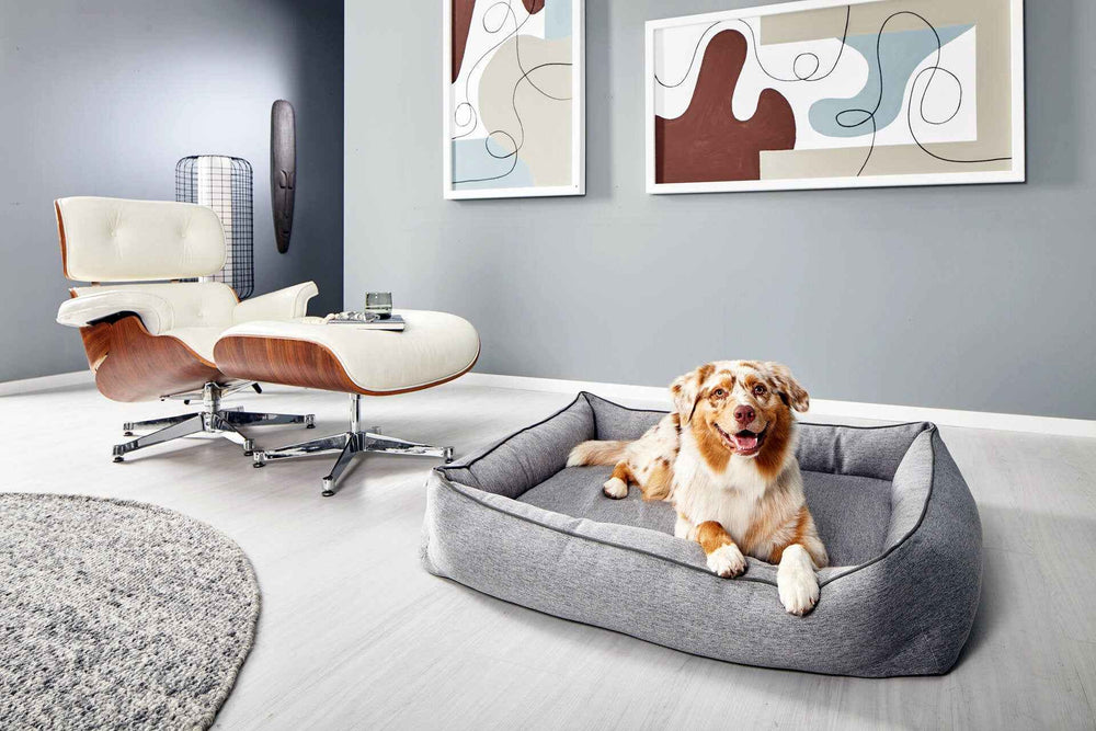 Gemütliches graues Hundebett UNO mit lächelndem Hund in stilvollem Raum mit modernen Kunstwerken.