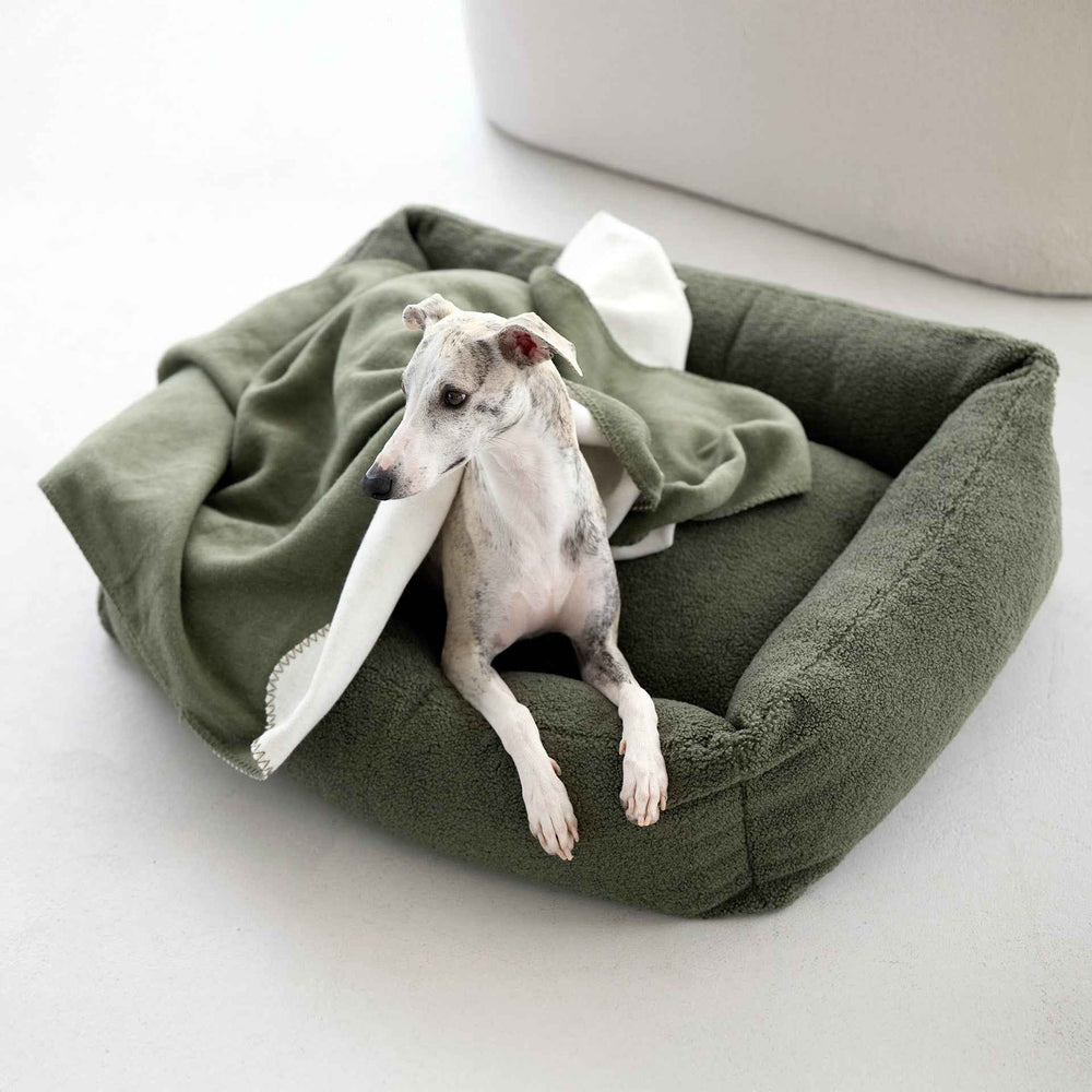 "Stylische Wendedecke REVERSO mit harmonischen Farben, Hund liegt auf grünem Hundebett, halb mit Decke zugedeckt."