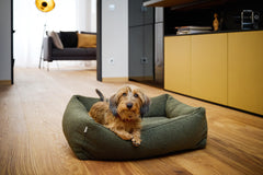Kleines Tier im grünen Bezug CLASSIC Hundebett - TEDDY in modernem Raum mit Holzfußboden, Sofa und goldener Stehlampe.