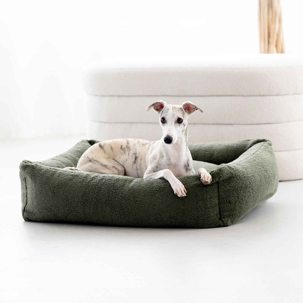 Entspannter hellgrauer Hund mit gestreiftem Fell auf dunkelgrünem ORTHO Hundebett in einem modernen Raum.