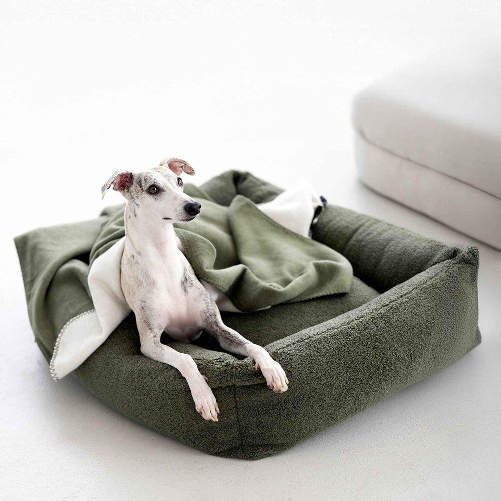 "Stylische Wendedecke REVERSO in Grün und Weiß, ideal für gemütliche Hundebetten im modernen, minimalistischen Raum."