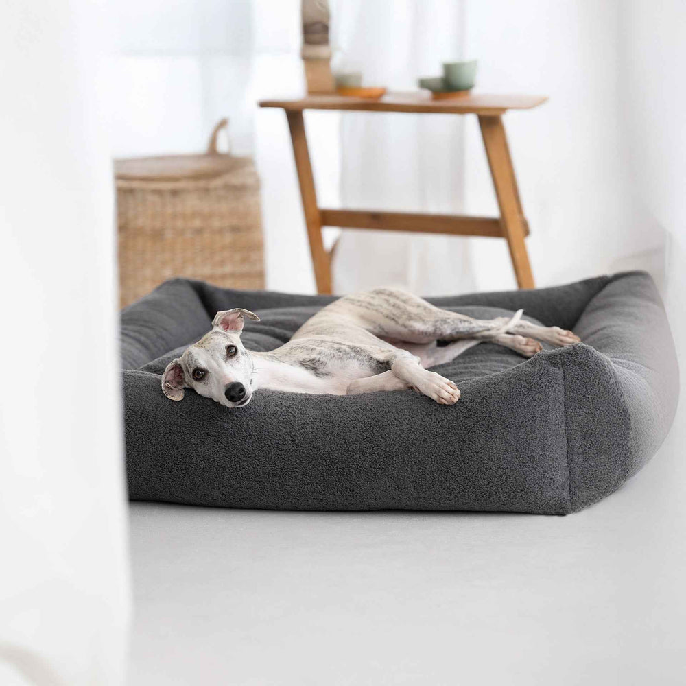 Graues Hundebett CLASSIC TEDDY mit einem entspannten Hund im hellen Raum mit Holztisch und Korb.